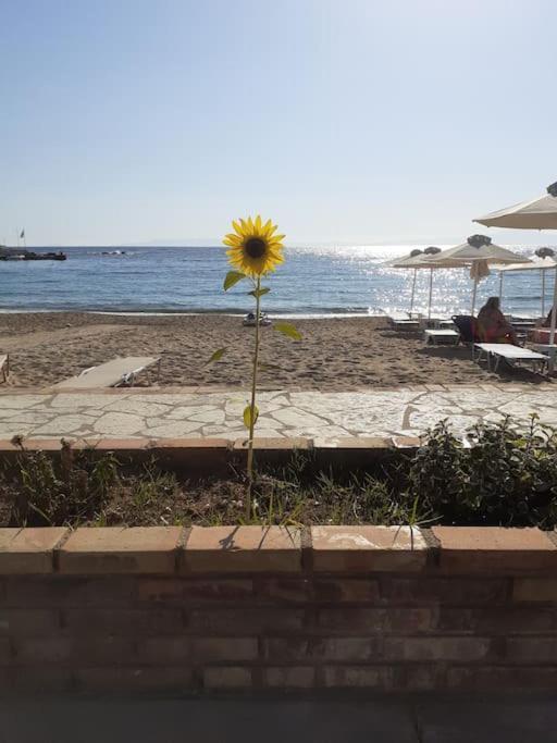 Stoupa Beachside Retro Apartment Exterior photo